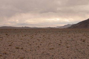 Arjantin 'in kuzeybatısındaki çöl manzarası