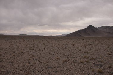 Arjantin 'in kuzeybatısındaki çöl manzarası