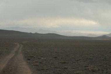 Arjantin 'in kuzeybatısındaki çöl manzarası