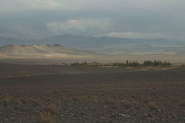 Arjantin 'in kuzeybatısındaki çöl manzarası