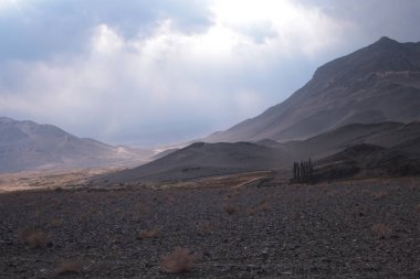 Arjantin 'in kuzeybatısındaki çöl manzarası