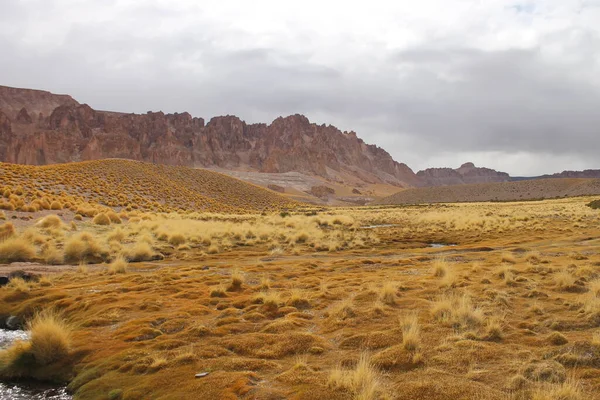 Incredibile Paesaggio Vulcanico Desertico Della Puna Argentina — Foto Stock