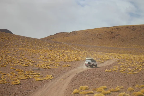 Arjantin Puna 'nın inanılmaz volkanik ve çöl manzarası
