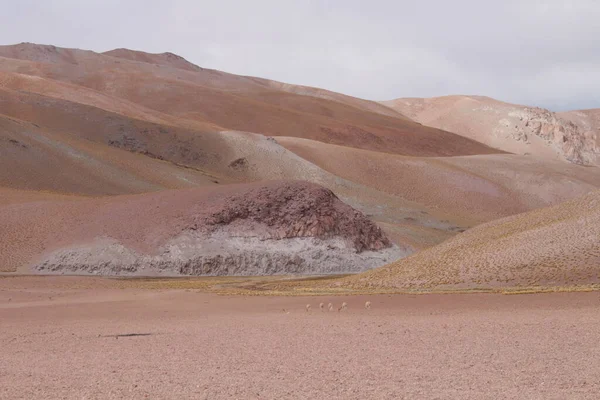 Otroligt Vulkaniska Och Öken Landskapet Den Argentinska Puna — Stockfoto