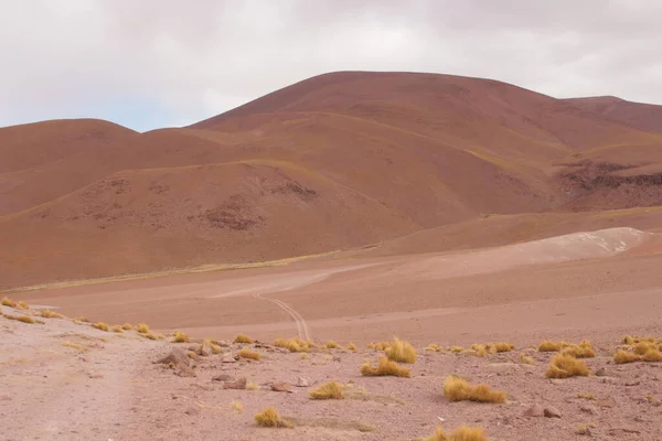 Incredible Volcanic Desert Landscape Argentine Puna — стоковое фото