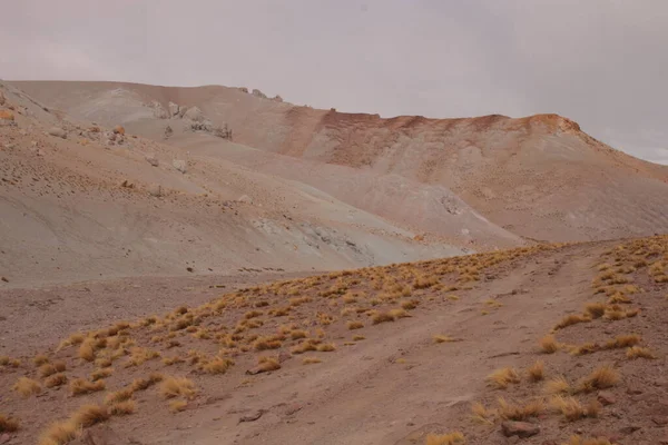 Incredible Volcanic Desert Landscape Argentine Puna — Fotografie, imagine de stoc