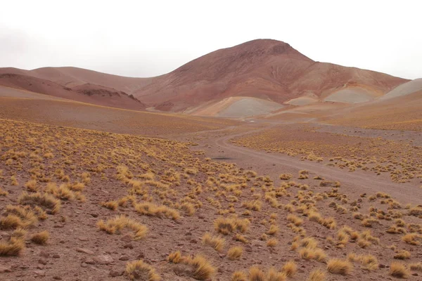 Unglaubliche Vulkan Und Wüstenlandschaft Der Argentinischen Puna — Stockfoto
