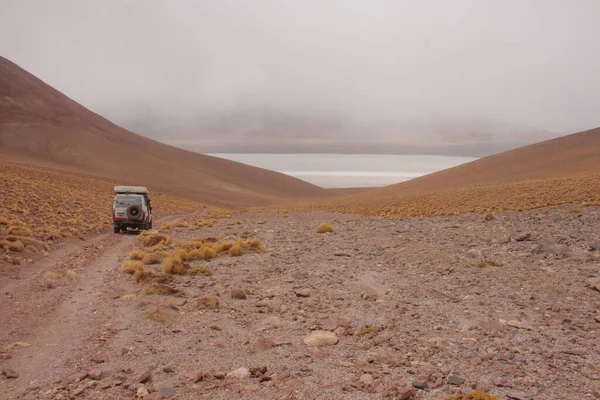 Incredible Volcanic Desert Landscape Argentine Puna — 스톡 사진