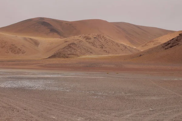 Arjantin Puna 'nın inanılmaz volkanik ve çöl manzarası