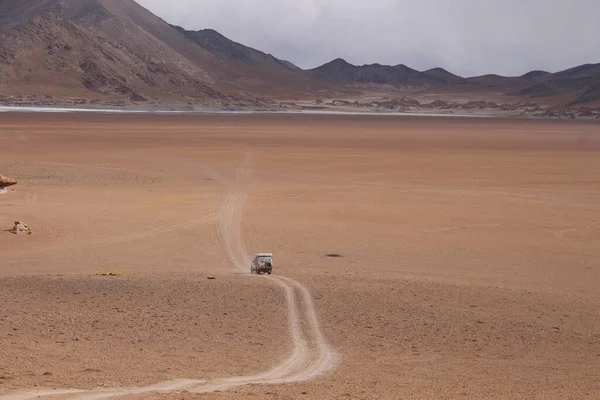 Arjantin 'in kuzeybatısındaki çöl manzarası