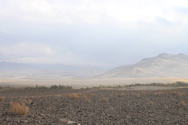Desert Landscape Northwestern Argentina — Stockfoto
