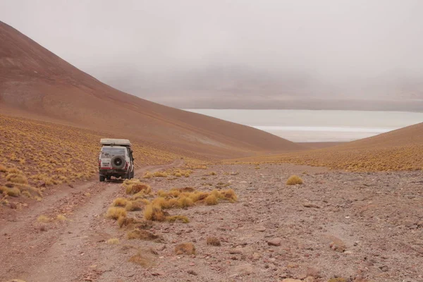 Incredible Volcanic Desert Landscape Argentine Puna 로열티 프리 스톡 사진
