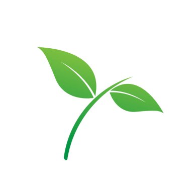 Yaprak ekolojisinin taze yeşil logoları doğa izole element vektör ikonu tasarımı