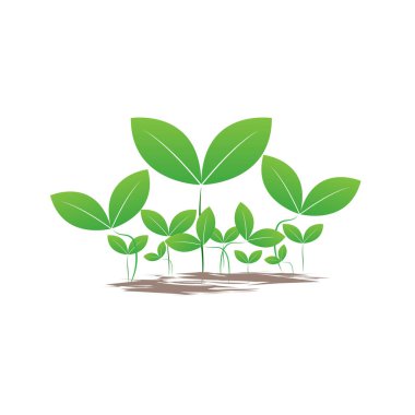 Bitki logosu ve tarım ürünleri şablon tasarımı, ekoloji yeşil tohum ikonu stili, vektör ve illüstrasyonda kullanılan yeşil tohum tasarımı GROUP 'ları
