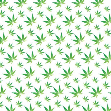 Yeşil yaprak vektörü tohumu, mikro yeşil tohum ikonu tasarımı ve taze yeşil bebek sebze tohumu yalıtılmış madde.