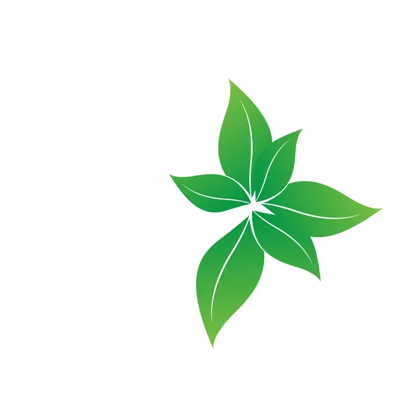 Seed Green Leaf Vector Micro Green Seed Icon Design Fresh — Image vectorielle