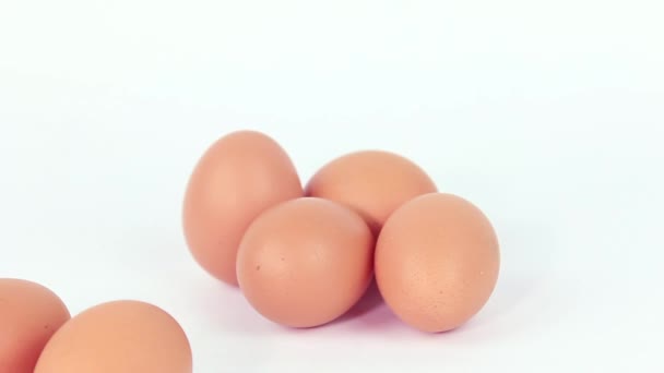 Set Eggs White Background Used Cooking — Wideo stockowe