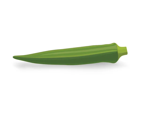 Ladyfinger Okra Ilustração Vetor Vegetal — Vetor de Stock