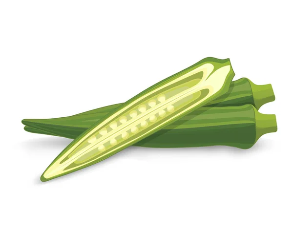 Lady Finger Okra Vegetable Vector Illustration Isolated White Background — 图库矢量图片