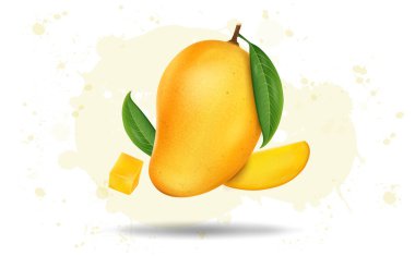 Mangolu taze mango ve vektör çizimi bırakır