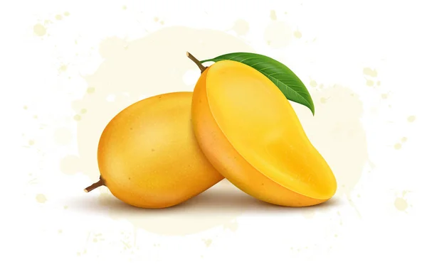 Mogna Färska Mango Frukt Vektor Illustration Med Halva Bitar Mango — Stock vektor