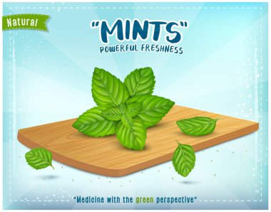 Taze Yeşil Nane Ahşap doğrama tahtasına vektör çizimi bırakıyor