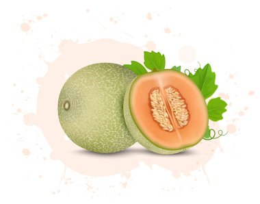 Miskkavun meyvesinin vektör çizimi. Yarım parça yeşil yapraklı miskkavun. 