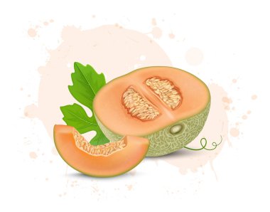 Miskkavun meyvesi çiziminin yarısı miskkavun dilimli. 