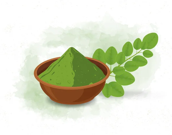Superfood Moringa Oleifera Blätter Und Puder Vektorillustration — Stockvektor