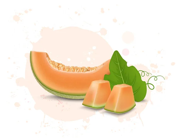 Muskmelone Fruchtscheiben Und Stücke Vektorillustration — Stockvektor