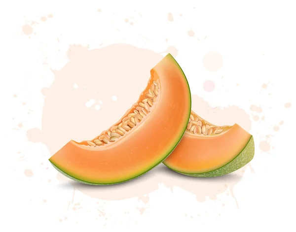 Muskmelon Fette Frutta Con Muskmelon Semi Vettoriale Illustrazione — Vettoriale Stock
