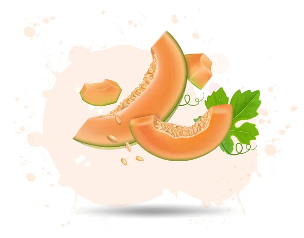 Muskmelon Fruit Slices Air Fruit Pieces Green Leaves Vector Illustration — стоковый вектор