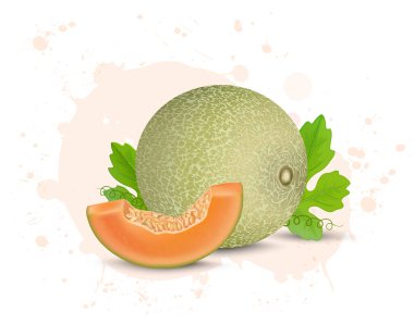 Meyve dilimi ve yeşil yapraklı misk karpuzu vektör çizimi
