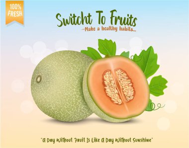 Muskmelon meyve vektör çizimi açık mavi arkaplanda izole edilmiş yarım parça miskkavun ile