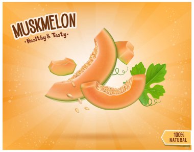 Muskmelon vektör illüstrasyonunu kavun parçaları vektör illüstrasyonuyla keser