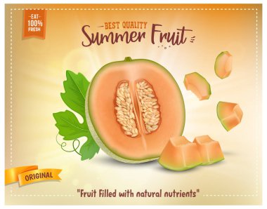 Muskmelon meyveli yarım miskkavunu meyve dilimleri turuncu arka planda vektör çizimi