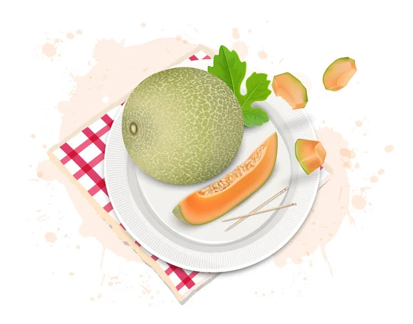 Moschusmelonenfruchtvektorillustration Mit Moschusmelonenscheiben Und Stücken Aus Dem Oberen Winkel — Stockvektor