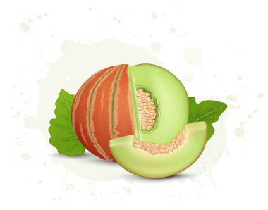 Kavun dilimleri ve çekirdekli taze miskkavun meyvesi için vektör illüstrasyonu 