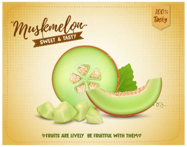 Muskmelon meyvesi vektör illüstrasyonunu doğruyor 