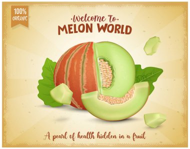 Açık sarı zemin üzerinde izole edilmiş kavun dilimleri ve tohumlarla misk karpuzu meyve vektör çizimi