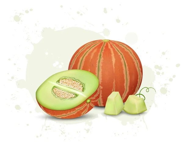 Ilustración Vectores Frutas Melón Con Medio Trozo Melón Melón — Vector de stock