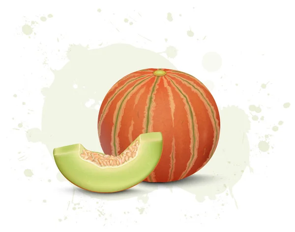 Rot Gestreifte Moschusmelone Fruchtvektorillustration Mit Melonenscheibe — Stockvektor