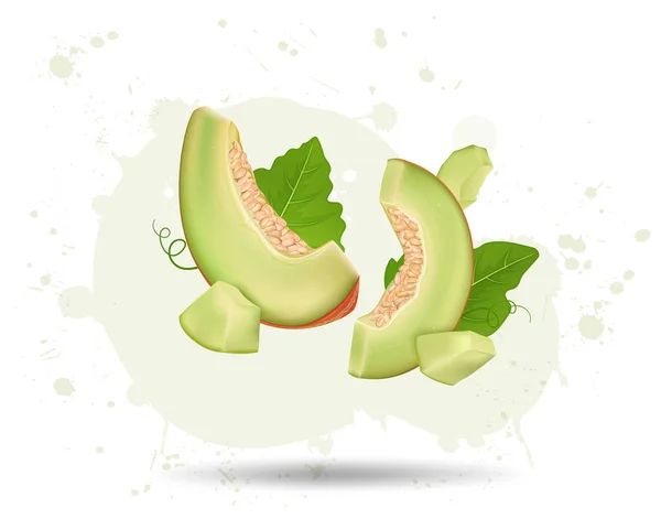 Rodajas Melón Trozos Fruta Vector Aire Ilustración Con Hojas Verdes — Vector de stock