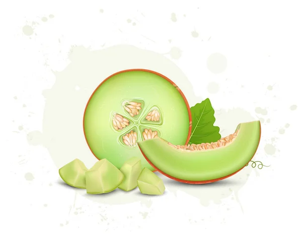 Muskmelon Fruit Half Pieces Melon Slice Vector Illustration — стоковый вектор