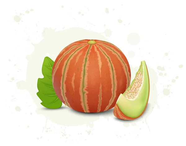 Orangen Muskmelonen Vektorillustration Mit Melonenscheiben Und Blättern — Stockvektor