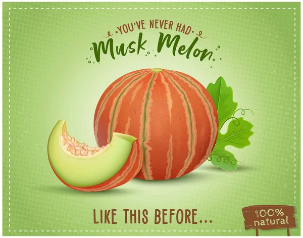 Red Muskmelon Vector Illustration Watermelon Slices Green Leaves Light Green — 스톡 벡터