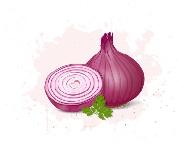 Onion vector illustration with onion green leaves clipart