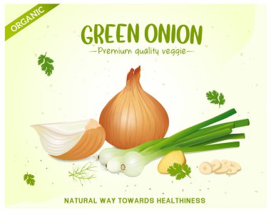 Zencefil ve sarımsak karanfilli sarı ve yeşil soğan.