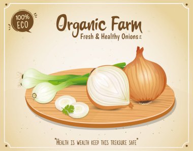 Kahverengi arkaplanda sarı ve yeşil soğan vektör çizimi