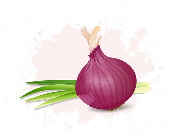 Onion Vector Illustration Onion Green Leaves — стоковый вектор